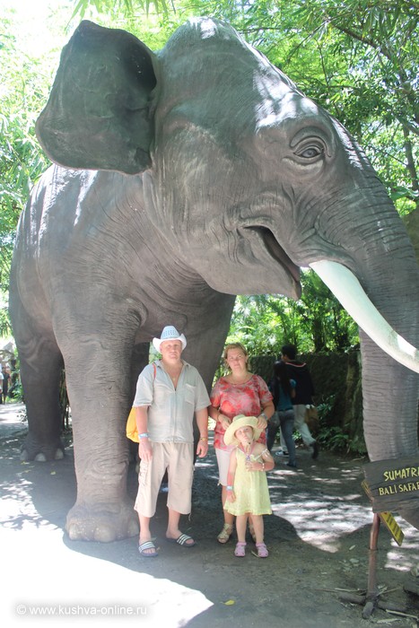 Всей семьей мы любим путешествовать. Это я с папой и мамой отдыхала зимой на райском острове Бали. Там очень здорово. Всей семьей мы ходили в сафари парк, где все животные ходят по территории парка, а не сидят в клетках. © Валентина Фидирко ДОУ № 30