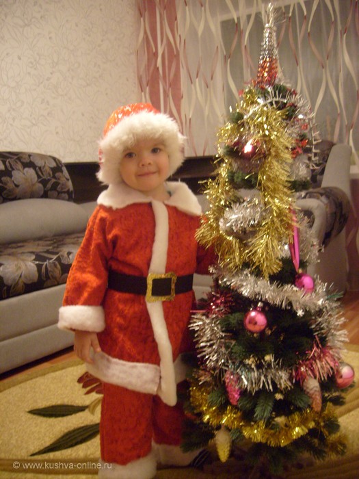 На фото Турунов Кирилл 2 года, вот уж скоро новый год санта в гости к нам придёт! © ЕЛЕНА