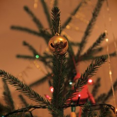 the Christmas tree © gio_kartveli