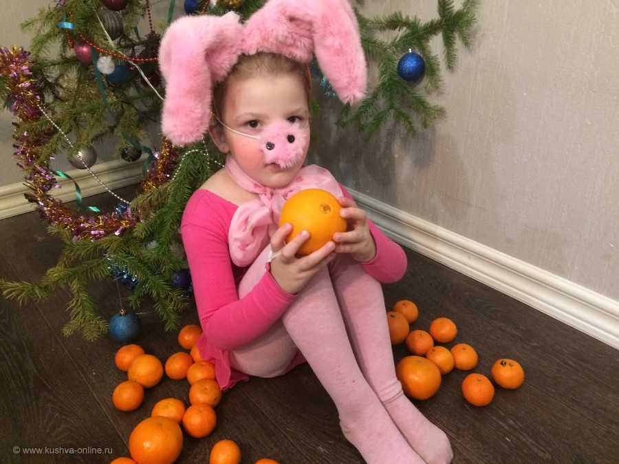 Свинка в апельсинках. © Екатерина Казакова, 4 года