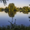 Отражение на воде (река Кушва) © mspasov52