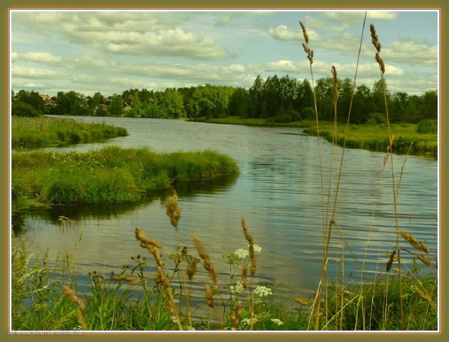 Река Кушва в разгаре лета 2022г. © mspasov52