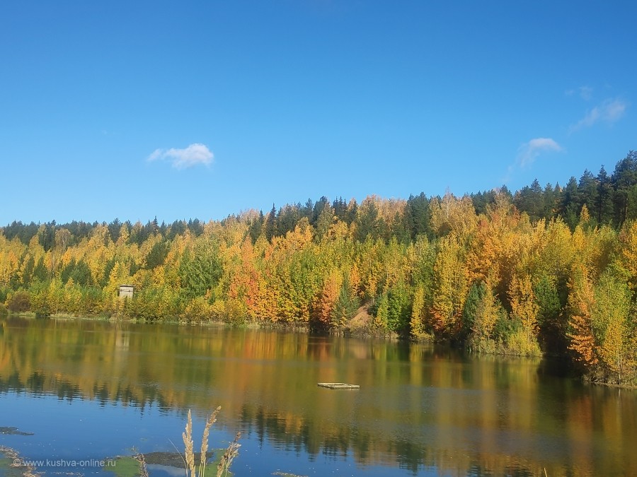 Кушва, водоем, лес, осень © Андрей Гаврилов
