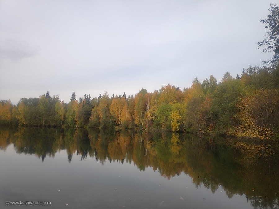 Осень, лес, водоем Коммерческий © Андрей Гаврилов