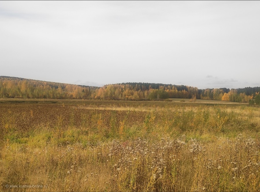 Кушва, осень, лес и обмелевший пруд © Андрей Гаврилов