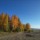 Кушва, осенние лес и небо © Андрей Гаврилов
