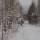 Возле горы Лысая после снегопада © mspasov52