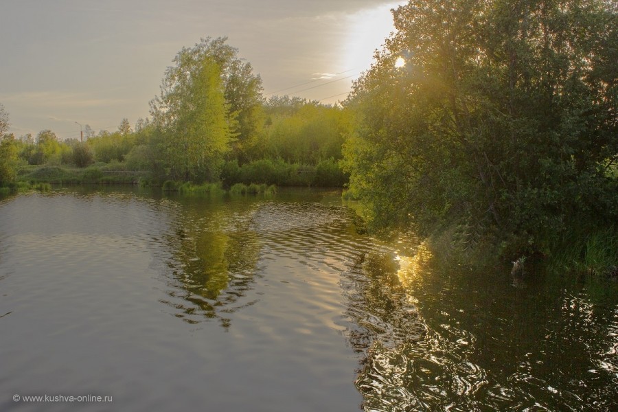 Вечером на реке Кушва © mspasov52