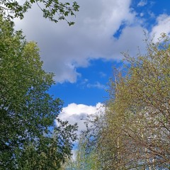 ... &copy; Alexandra_Loginova