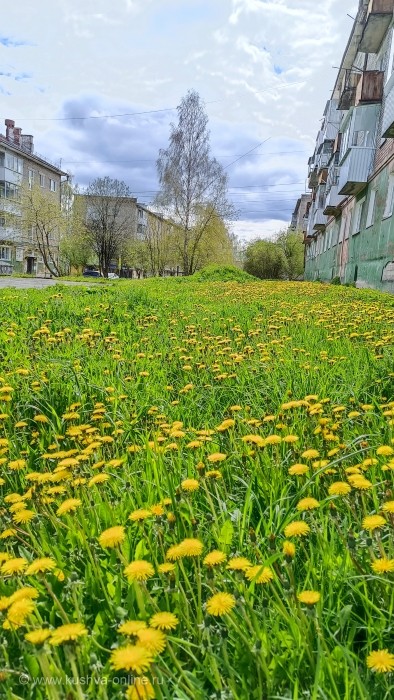 ... © Alexandra_Loginova