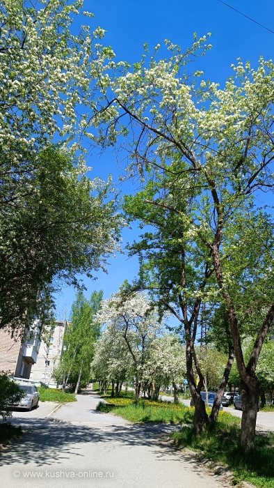    7  2025 . . : Alexandra_Loginova