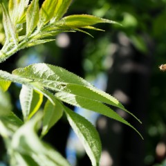 ... &copy; ����� ������������