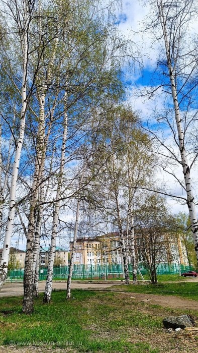 ... © Alexandra_Loginova