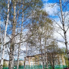 ... &copy; Alexandra_Loginova