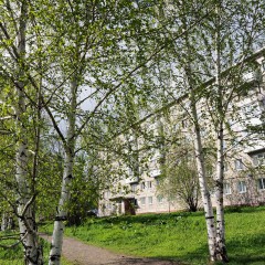 ... &copy; ����� ������������