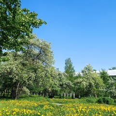 ... © Alexandra_Loginova