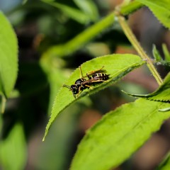 ... &copy; ����� ������������