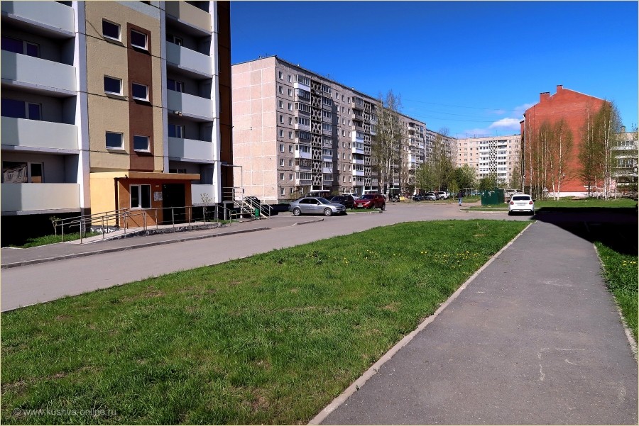    22  2025 . . : tuman