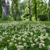 © Игорь Долгобородов
