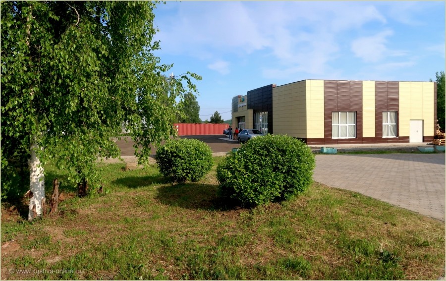    17  2025 . . : tuman