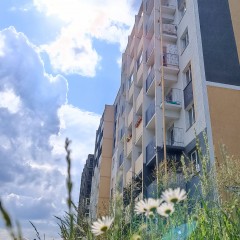 ... &copy; Alexandra_Loginova