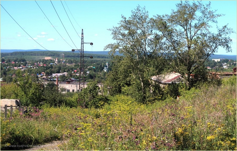    29  2025 . . : tuman