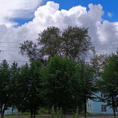 ... &copy; Alexandra_Loginova