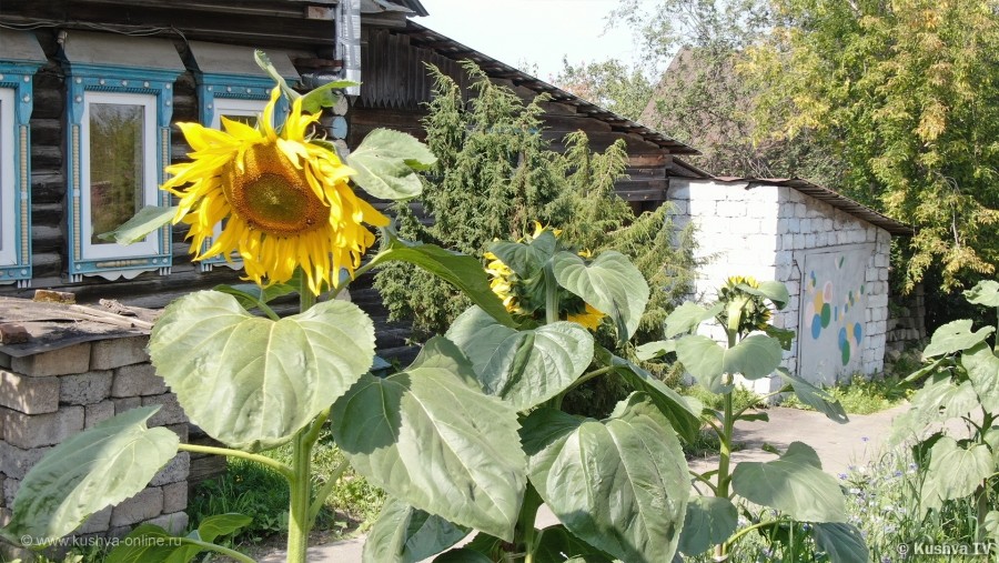 ... &copy; ��� ��� 