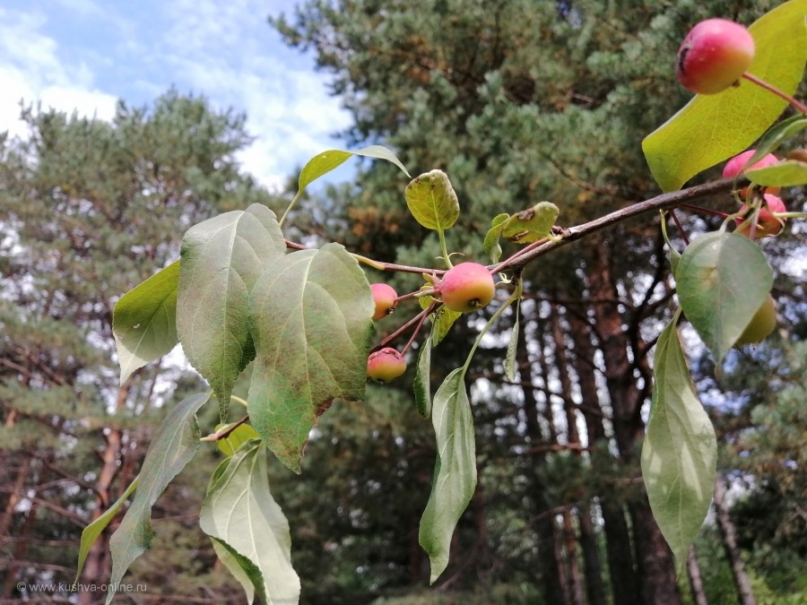 ... &copy; ������� ������