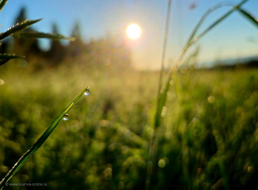    11  2025 . . : Arina