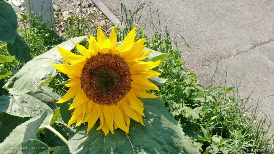 ... &copy; ��� ��� 