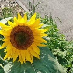 ... &copy; ��� ��� 