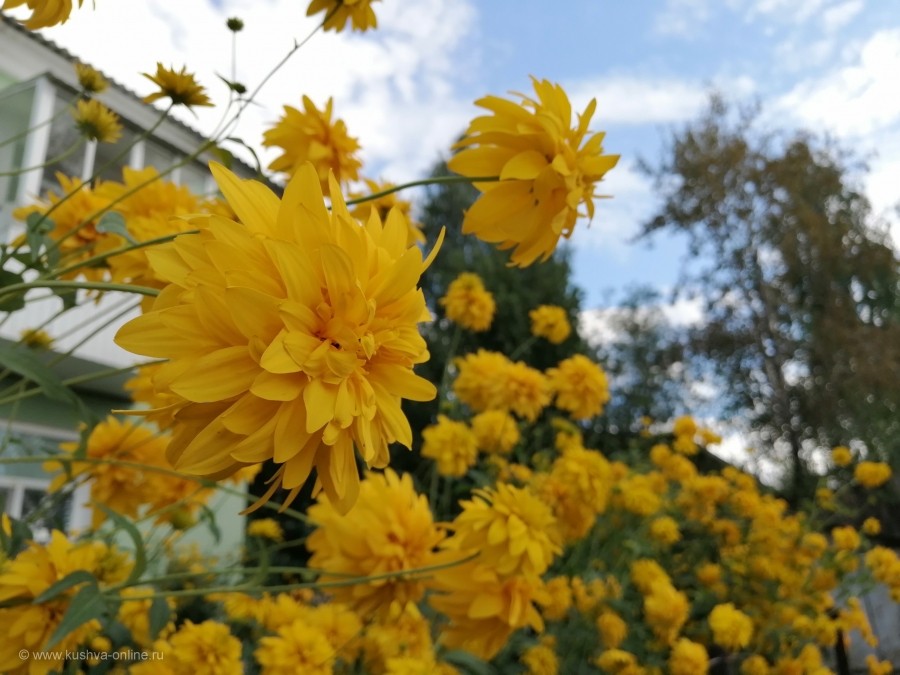 ... &copy; ������� ������