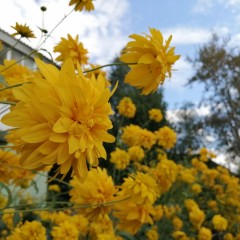 ... &copy; ������� ������