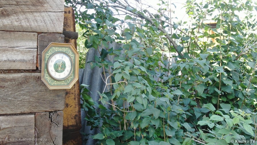 ... &copy; ��� ��� 