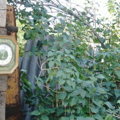 ... &copy; ��� ��� 