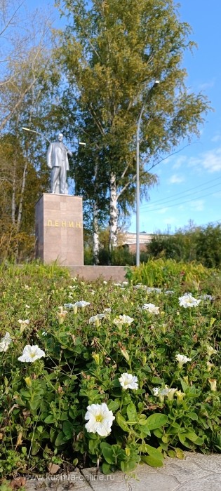    5  2025 . . : Alexandra_Loginova