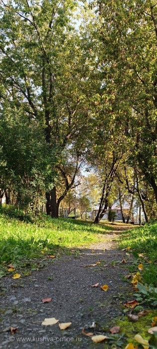    4  2025 . . : Alexandra_Loginova