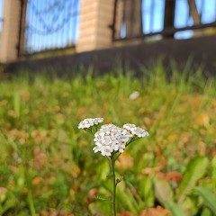 ... © Alexandra_Loginova