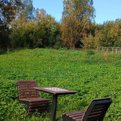 ... © Alexandra_Loginova