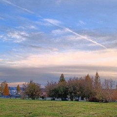 ... © Alexandra_Loginova