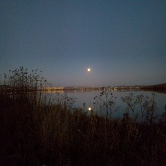 ... © Alexandra_Loginova