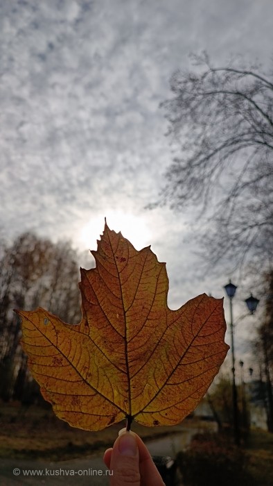 ... © Alexandra_Loginova