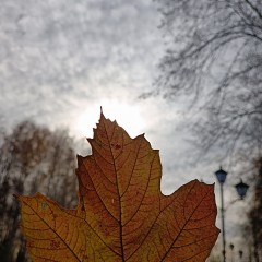 ... © Alexandra_Loginova