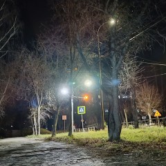 ... © Alexandra_Loginova