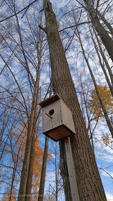 ... © Alexandra_Loginova