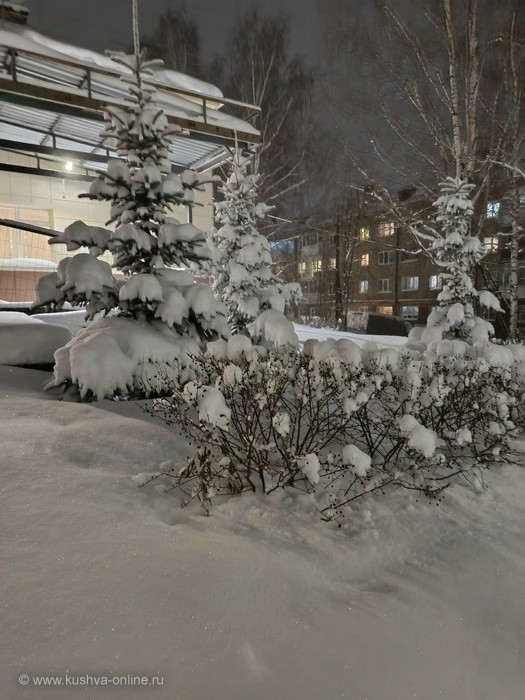 ... &copy; ���������� ����������