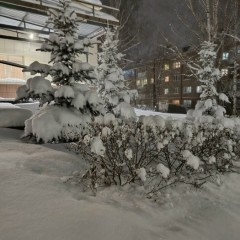 ... &copy; ���������� ����������