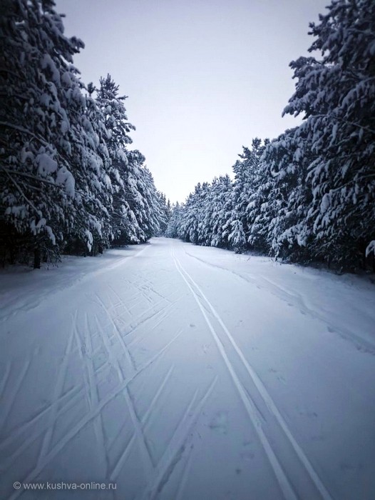 ... &copy; ���� ��������