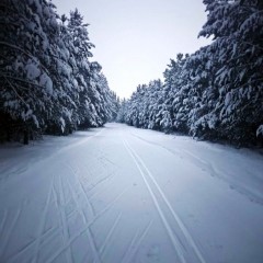 ... &copy; ���� ��������